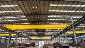 Modelli multipli 50 Ton Overhead Crane